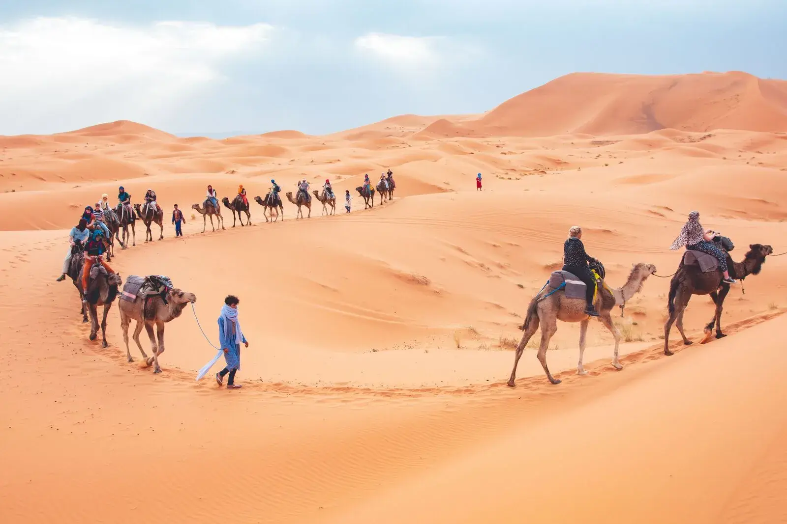 Camel caravan crossing the orange dunes of the Sahara